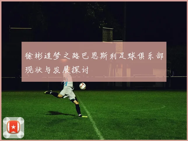 徐彬追梦之路巴恩斯利足球俱乐部现状与发展探讨