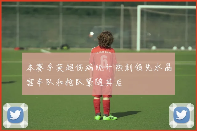 本赛季英超伤病统计热刺领先水晶宫车队和枪队紧随其后